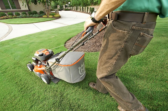lawnmower